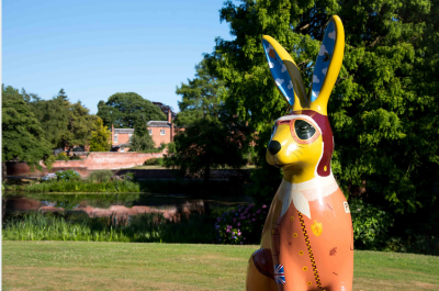 Oli & Nel’s Hare-Raising Adventure: The Tale of The Lost Lyrebird!