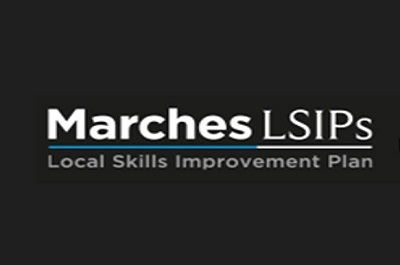Businesses urged to have their say on skills training