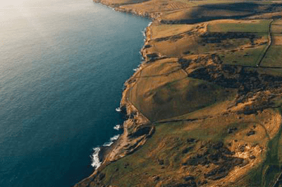 BCC responds to government’s net zero plan